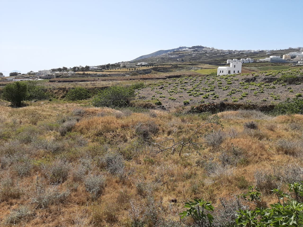 Santorin - terrain attractif de 730 m² à Messaria